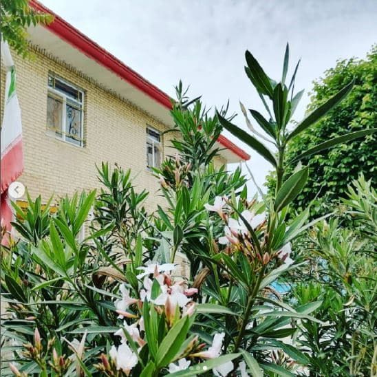 مدرسه ی ما ، خانه ی ماست!