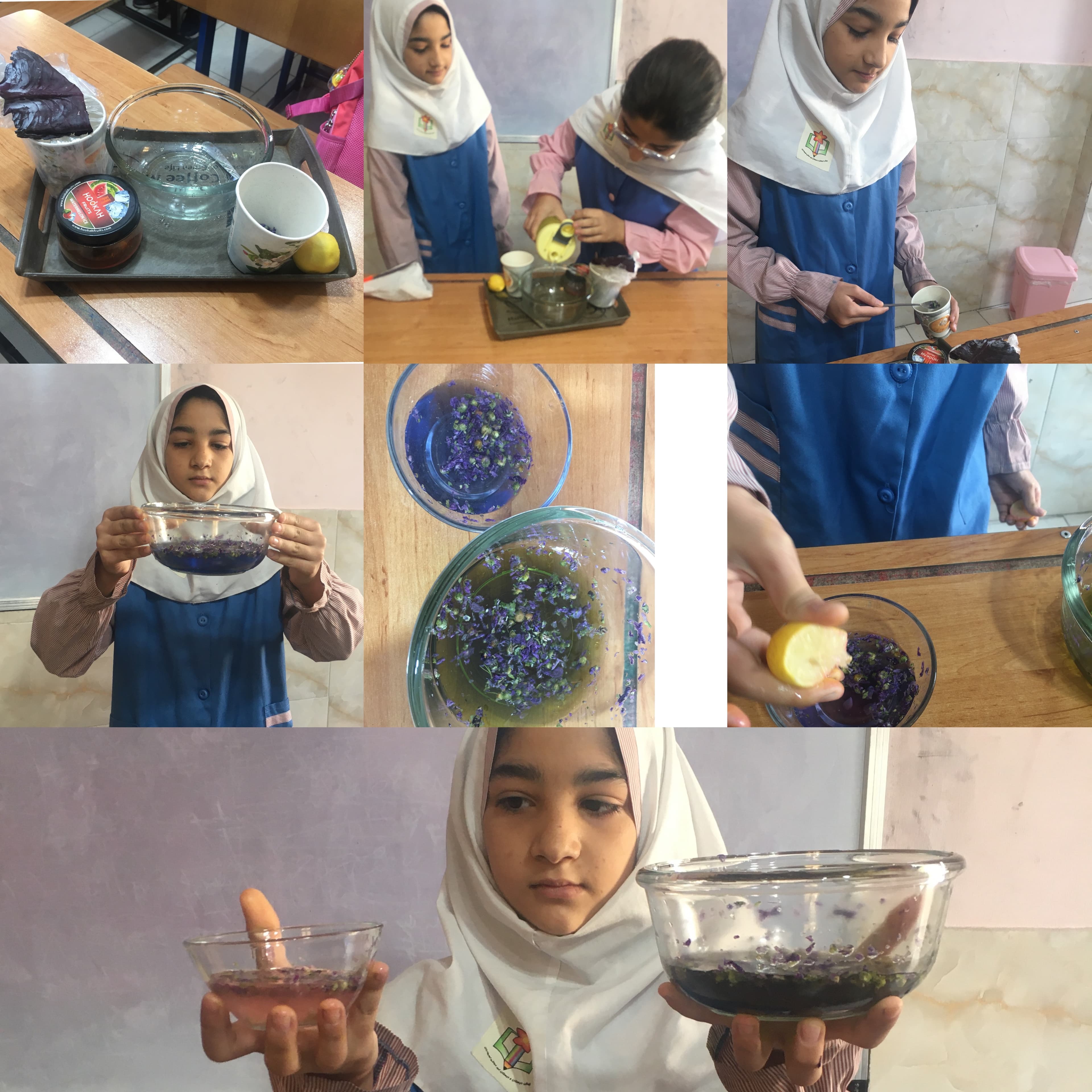 علوم پایه ششم - خاصیت رنگبری مواد- محیا آل ابراهیم