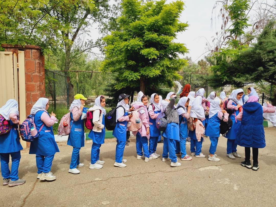 تصویر مقاله